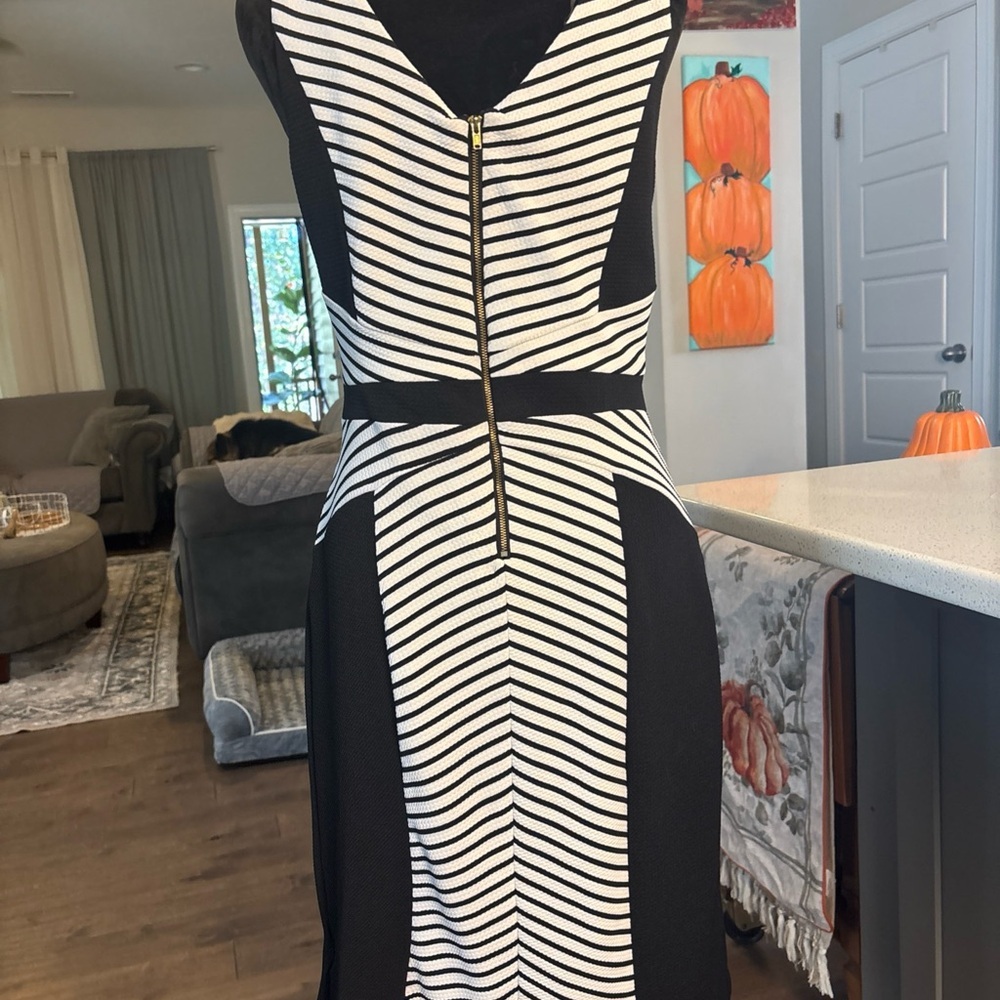 Shelby & Palmer Black and White Striped Dress - Picture 6 of 7
